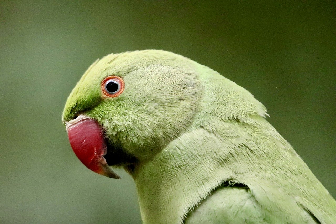 Nome Completo do Cônjuge: Quando e Onde é Obrigatório Informar